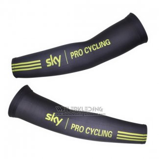 2011 Sky Armstukken Cycling