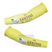 2013 Vini Fantini Armstukken Cycling