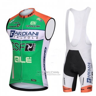 2018 Windvest Bardiani Csf Groen